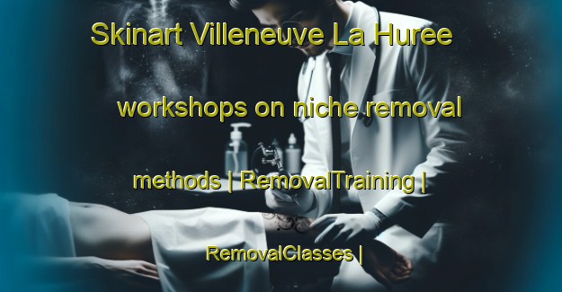Skinart Villeneuve La Huree workshops on niche removal methods | RemovalTraining | RemovalClasses | SkinartTraining-France
